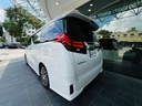 ALPHARD-2